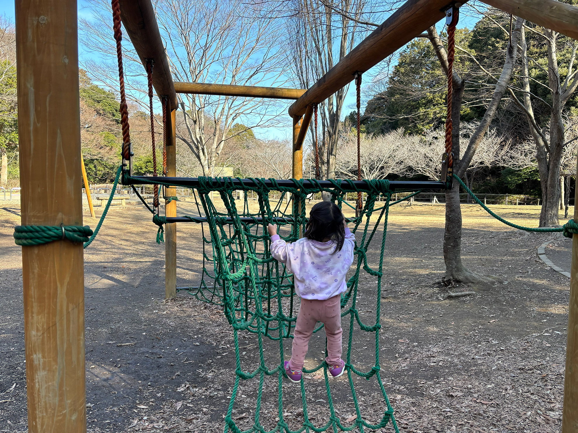 アスレチックに挑戦しています