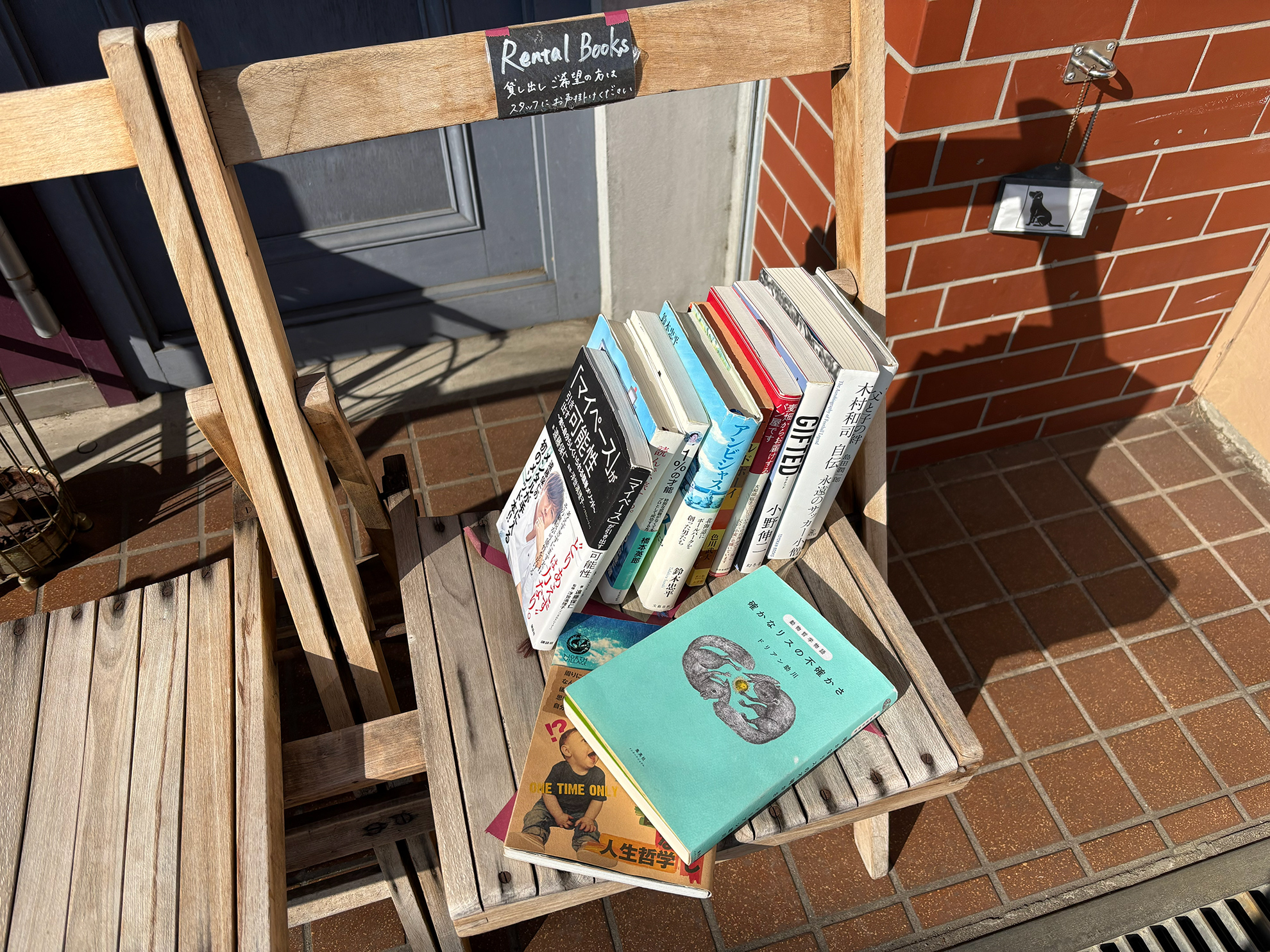 スタッフさんのセンスが光る本の数々