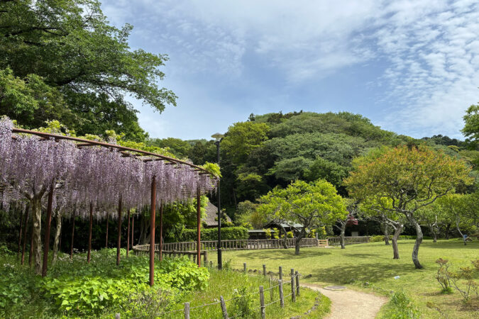 花と風に癒されて。藤沢・新林公園で過ごす春時間。